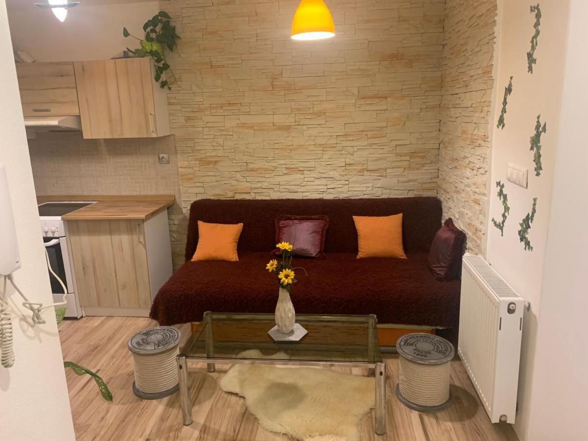 Apartman Slunecnice S Terasou Ceske Budejovice Eksteriør bilde
